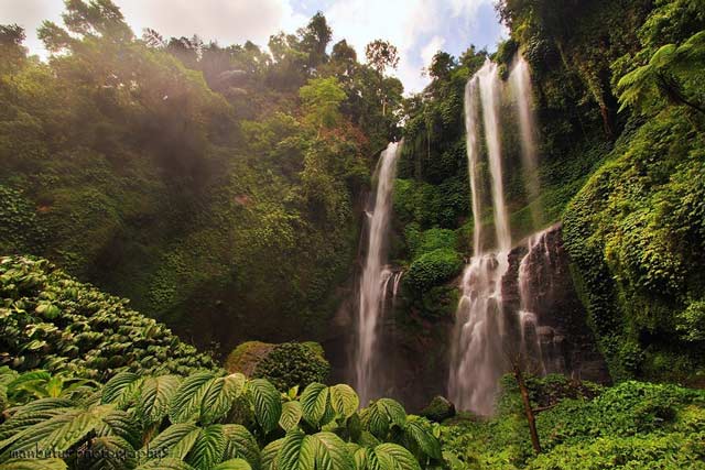 bali