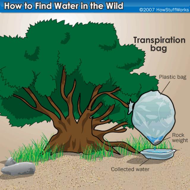 cara mendapatkan air