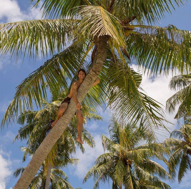Memanjat pohon kelapa di Karimun, mirip di film Mowgli ya. Foto berasal dari David