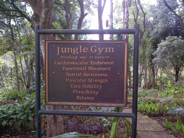 jungle gym
