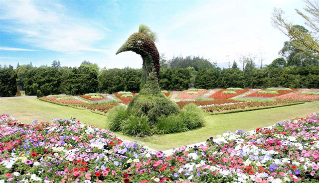 taman bunga busantara