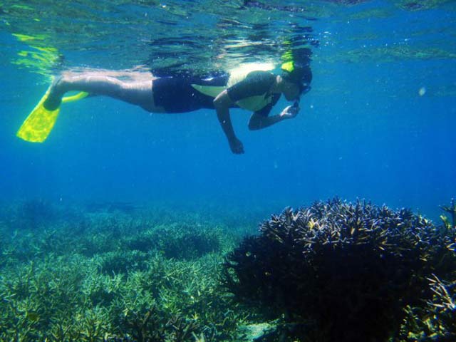 penyebab kematian saat snorkeling