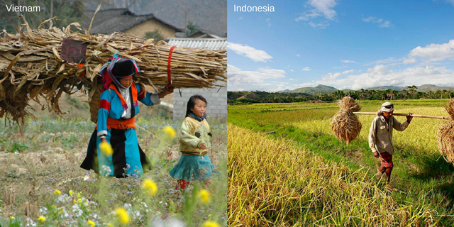 indonesia vs vietnam
