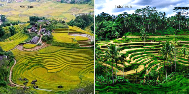 Indonesia vs vietnam