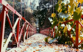 jembatan merah kebun raya bogor