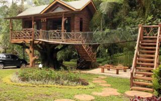 Rumah Pohon Taman Safari