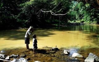 Pengalaman Wisata ke Suku Baduy Dalam, Kamu Harus Coba hutan_larangan baduy