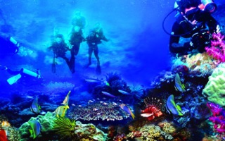 Keindahan Taman Laut Bunaken, Pilihan Cerdas untuk Masuk Daftar Liburan 2019 bunaken