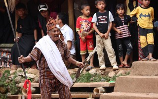 toraja