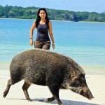 keindahan-ujung-kulon