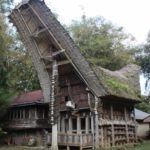 tana toraja