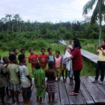 malaria-papua