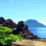 ternate batu angus