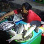 karimunjawa