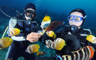 menyelam di bunaken