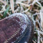 dieng culture festival 2015