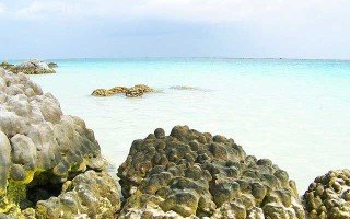 pantai tureloto nias