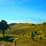 savana-gunung-prau