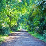 taman nasional baluran