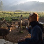 wisata camping ground bandung