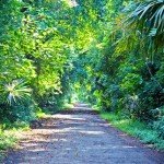 taman nasional baluran