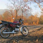 taman nasional baluran