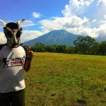 taman nasional baluran