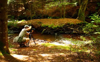 fotografer alam