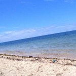 taman nasional baluran