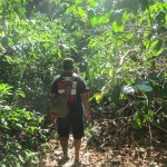 pulau ular