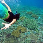 diving pulau rote