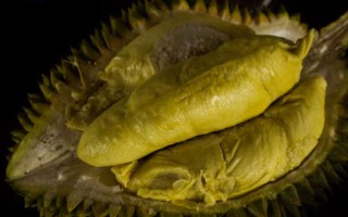 kebun durian watu simbar semarang