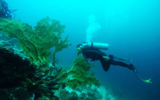 diving spot sabang