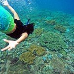diving pulau rote