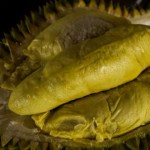 kebun durian watu simbar semarang