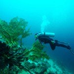 diving spot sabang