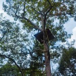 kebun durian watu simbar semarang