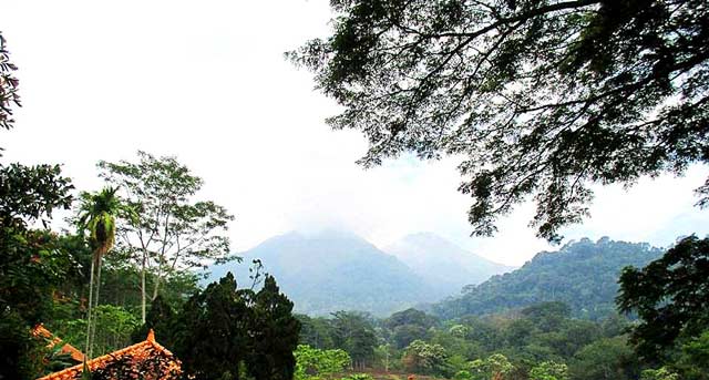 5 Alasan Harus Coba Wisata Alam Di Pplh Seloliman Jawa Timur