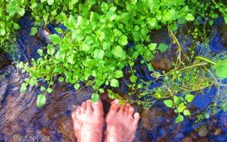 mata air cimincul subang