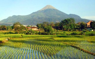 mendaki semeru