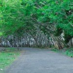 destinasi wisata lombok