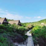 jeeva beloam beach camp