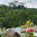 best small hotel indonesia