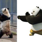 real life kung fu panda