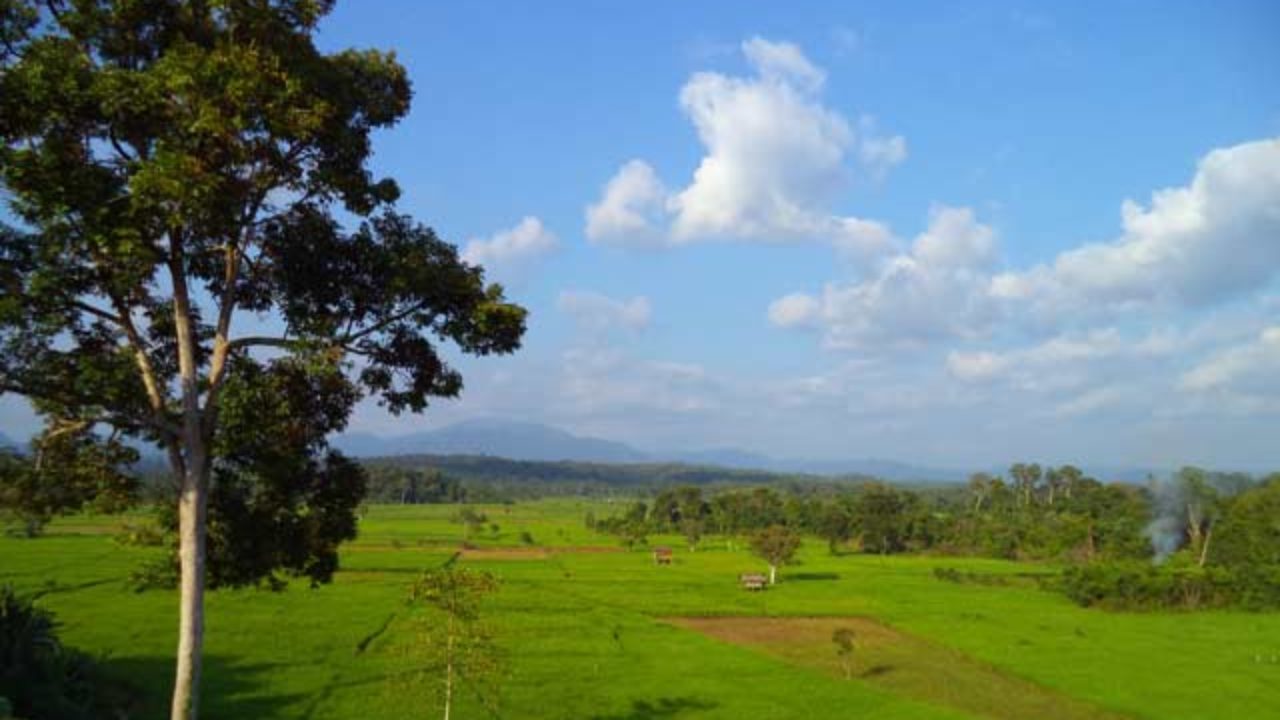 10 Fakta Aceh Jaya Yang Harus Anda Tahu Sebelum Berkunjung