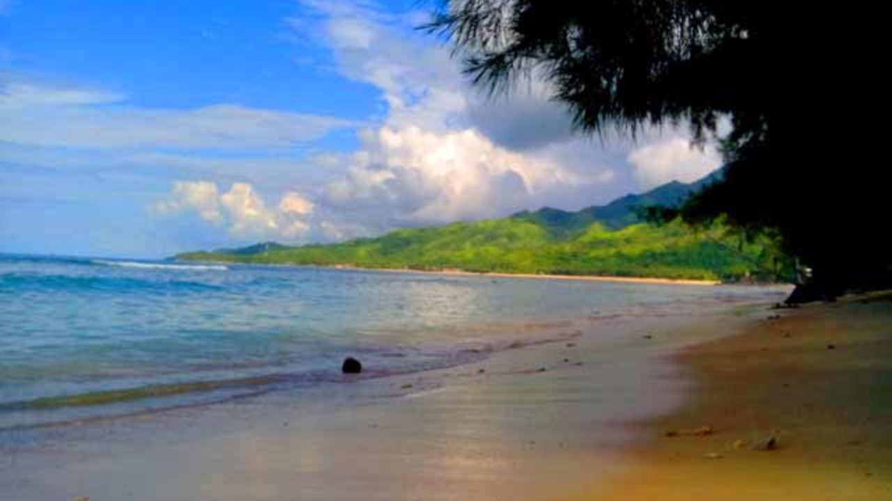 Seekor Paus Mengapung Di Pantai Lhouk Keutapang Aceh