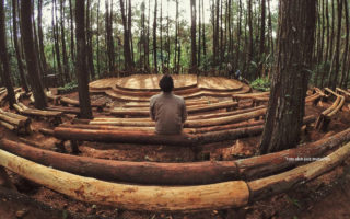 Hutan-Pinus-Imogiri-Bantul-7