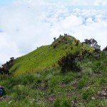 gunung-merbabu-4
