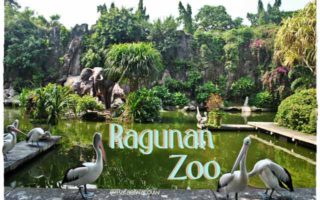 ragunan zoo