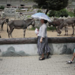 PhotoDiary_NorthKorea